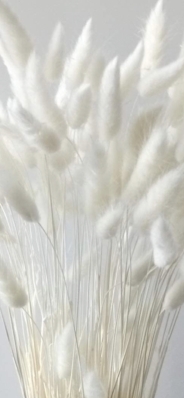 WHITE BUNNY TAILS