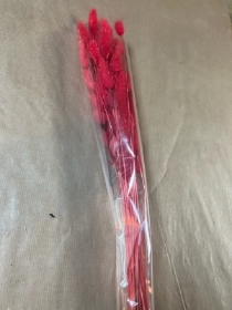 RED BUNNY TAILS