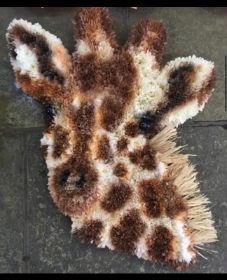 Giraffe Head